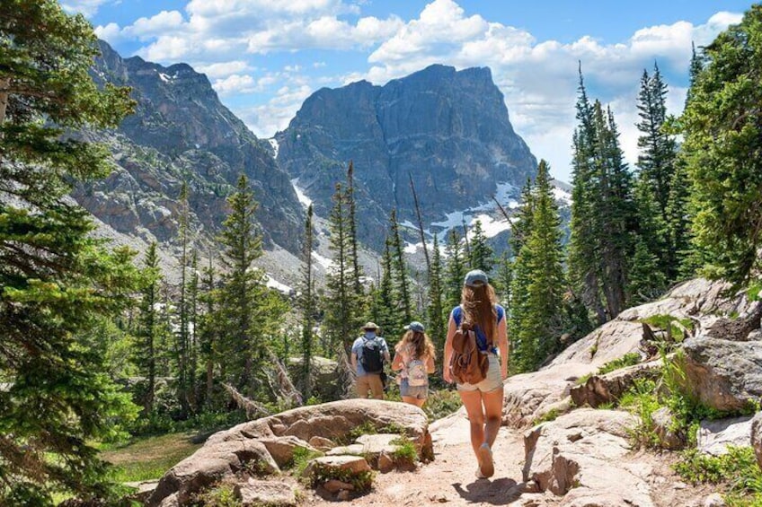 Private Tour Wildlife in Rocky Mountain National Park