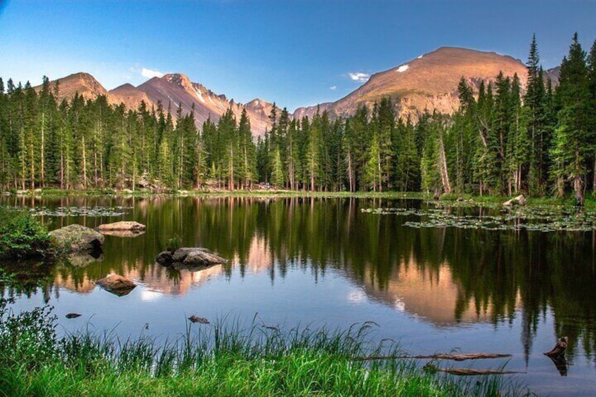 Private Tour Wildlife in Rocky Mountain National Park