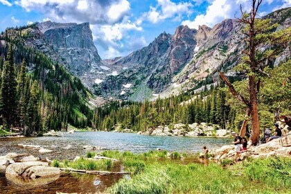 Private Tour Wildlife in Rocky Mountain National Park