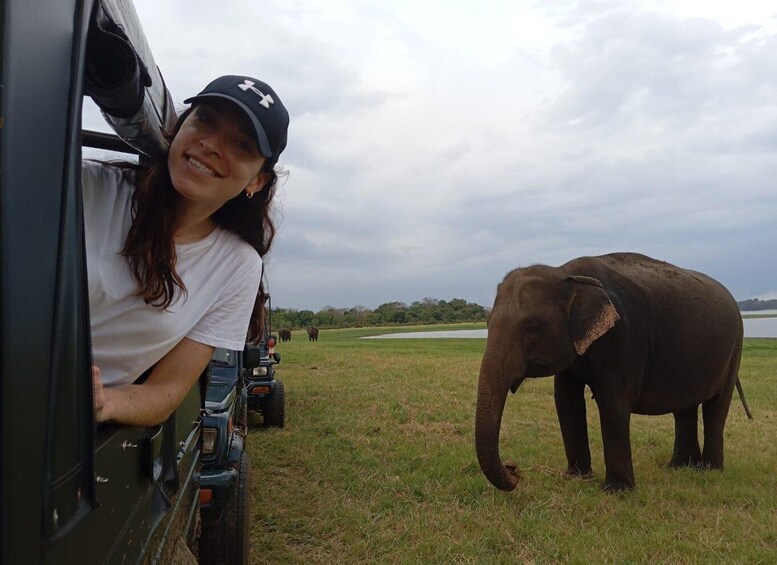 Picture 1 for Activity Minneriya: National Park Jeep Safari from Sigiriya/Dambulla