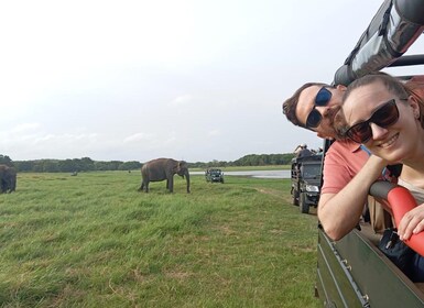 Minneriya: National Park Jeep Safari from Sigiriya/Dambulla