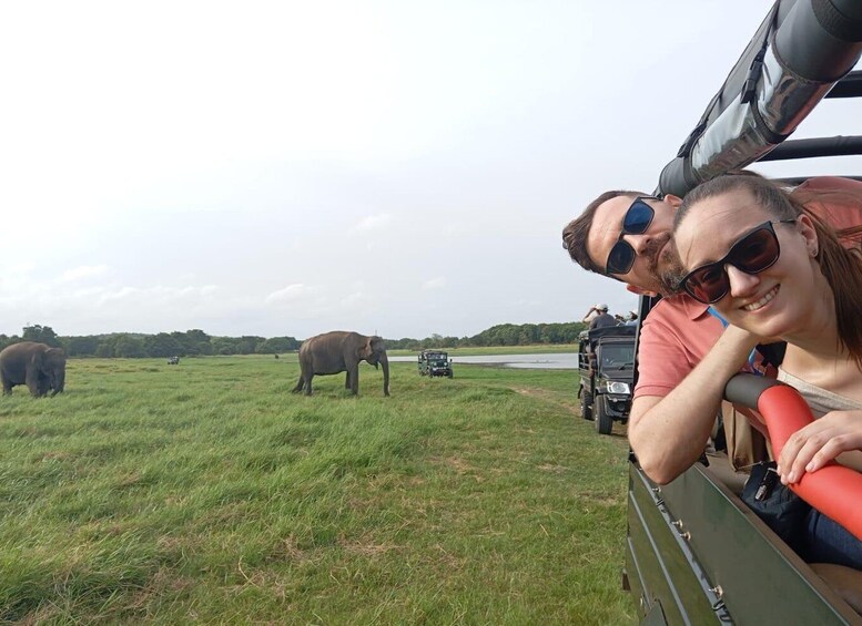 Minneriya: National Park Jeep Safari from Sigiriya/Dambulla