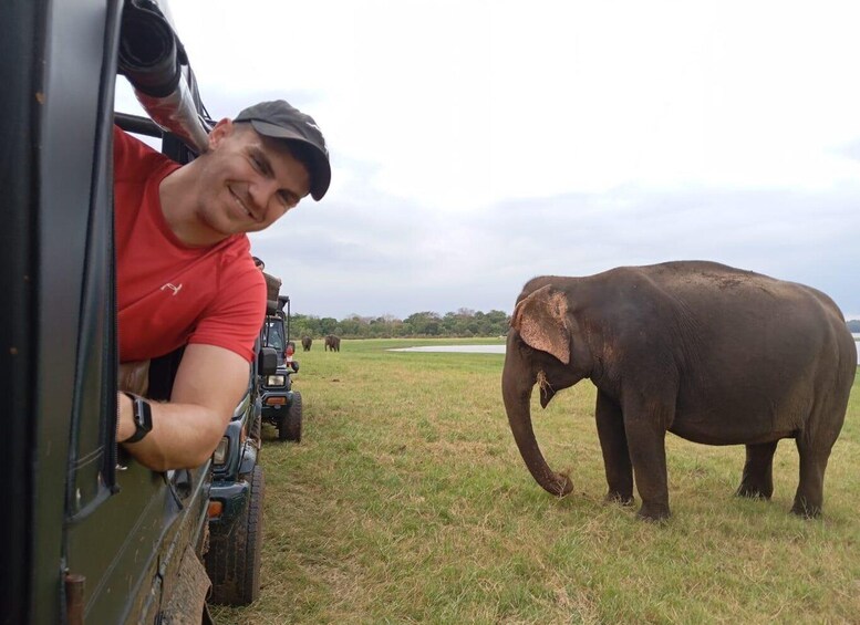 Picture 3 for Activity Minneriya: National Park Jeep Safari from Sigiriya/Dambulla