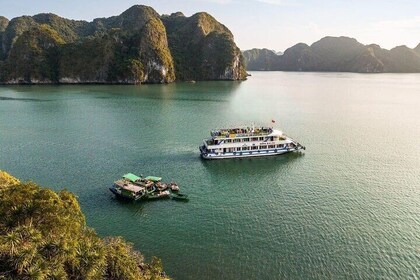 Deluxe Ha Long Bay Day Cruise Depart from Harbour with Cave,Island