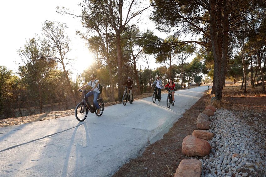 Picture 3 for Activity Granada: Alhambra and Sierra Nevada Sunset Views by E-Bike