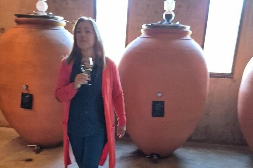 SOUTH OF THE ANDES Winery