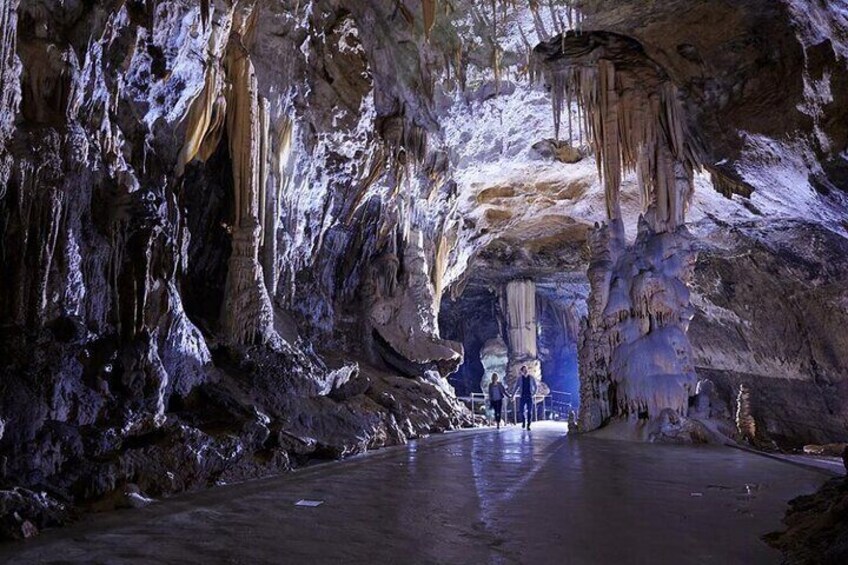 Postojna Cave and Castle Privat Tour From Koper, Trieste, Piran