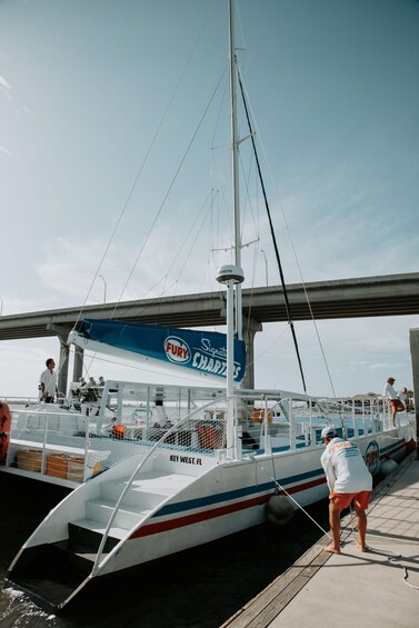 Picture 4 for Activity St.Augustine: Dolphin Watch & Historical Harbor Tour +Drinks