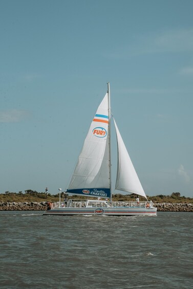 Picture 1 for Activity St.Augustine: Dolphin Watch & Historical Harbor Tour +Drinks