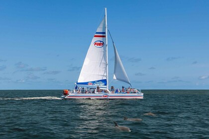 St.Augustine: Dolphin Watch & Historical Harbour Tour +Drinks