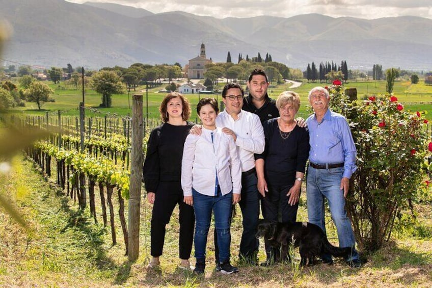 Guided Winery Tour and Private Tasting in Montefalco