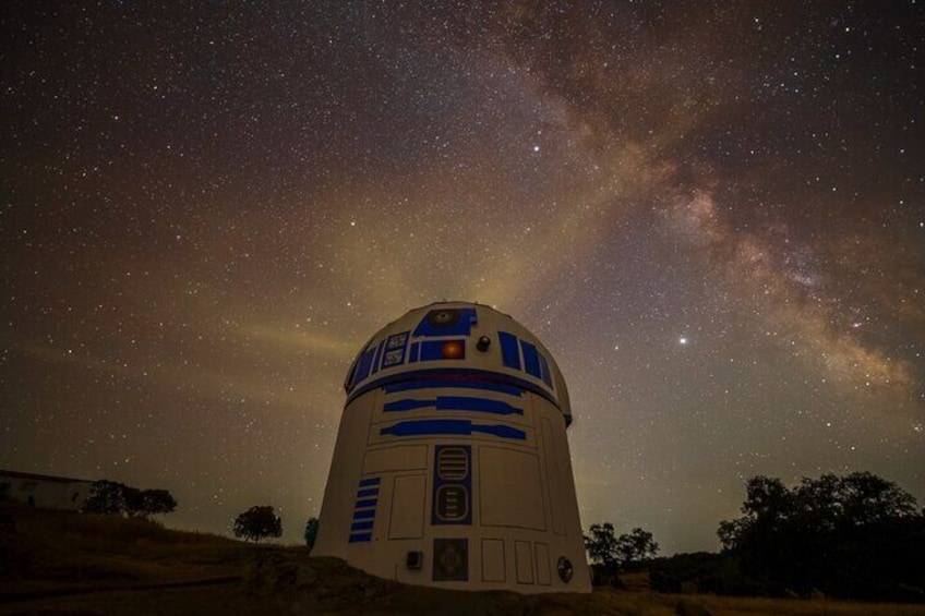 Night Immersion with Sky Interpretation and Nature Sounds