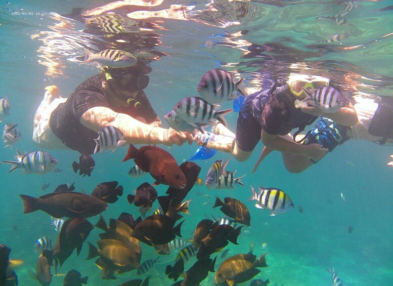 Picture 7 for Activity Bali: Private Snorkeling With Blue Lagoon Snorkeling