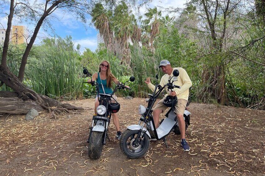 3 hour Electric scooter Island Tour in Aruba