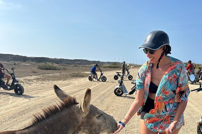 3 hour Electric scooter Island Tour in Aruba