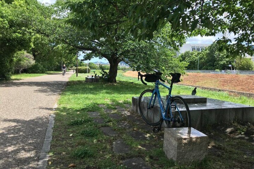 Resting along the Yamashina