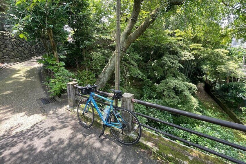 Ascend through the forest to Sennyuji Temple