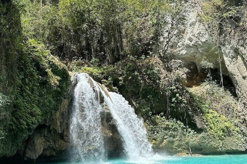  Whale Shark Watching Private Tour in Kawasan Falls Cebu City