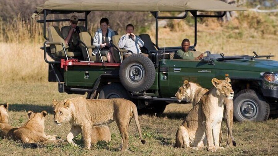 Small Group 3 Day Garden Route Adventure from Cape Town