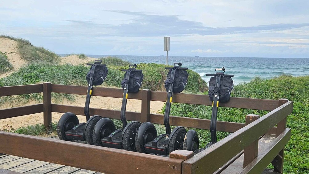 Picture 3 for Activity Sunshine Coast: Coastal Segway Tour (Afternoon)