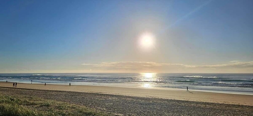 Picture 1 for Activity Sunshine Coast: Coastal Segway Tour (Afternoon)