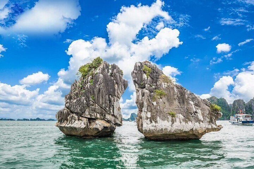 Ha Long Bay Excursion from Ha Long Port, Private Tour