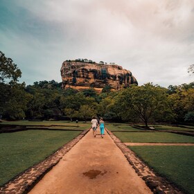 Kandy to Sigiriya & Dambulla Private Day Tour