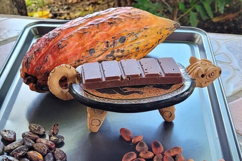 Cocoa and organic chocolate bar 