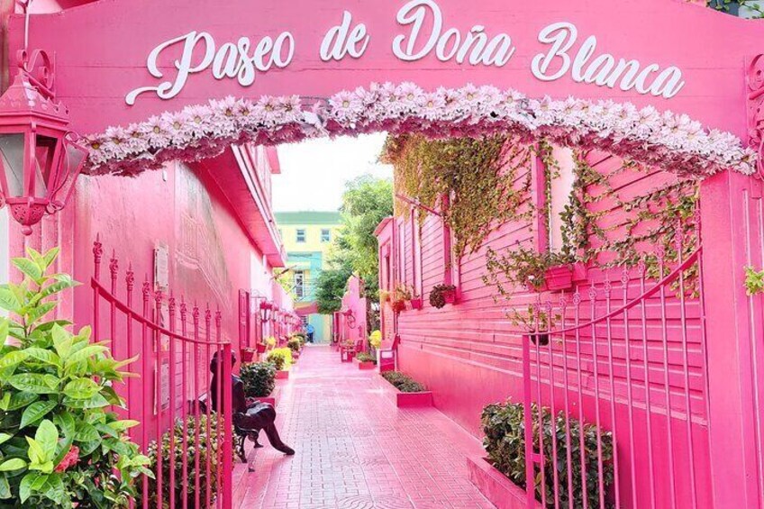 Pink Alley, a magical place