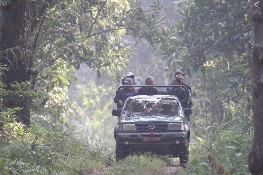 2 Nights 3 Days Chitwan National Park Package with Jeep Safari