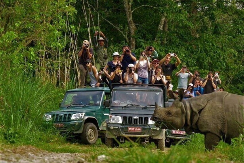 2 Nights 3 Days Chitwan National Park Package with Jeep Safari