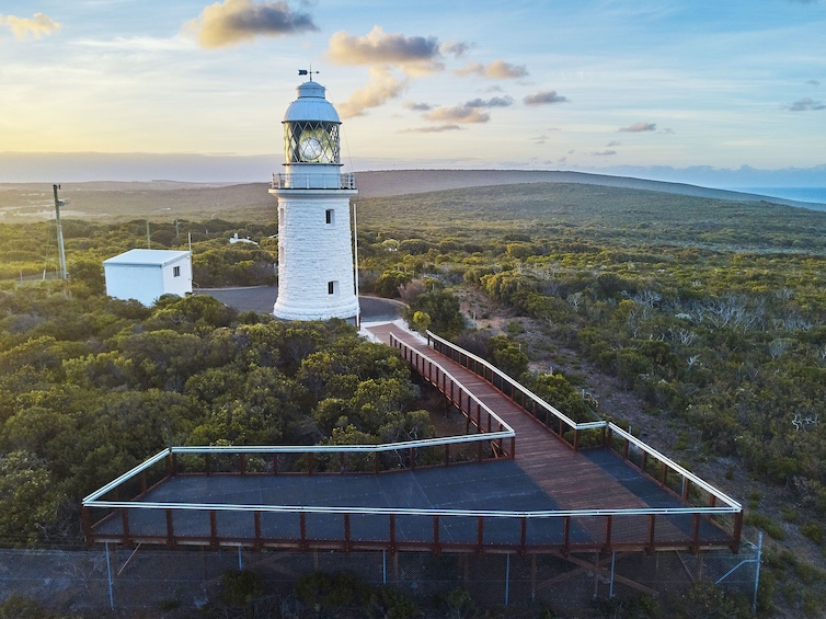 Cape Naturaliste Lighthouse Fully-guided Tower Tour
