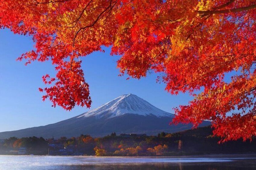 View of Mt. Fuji is good! Sushi making experience class