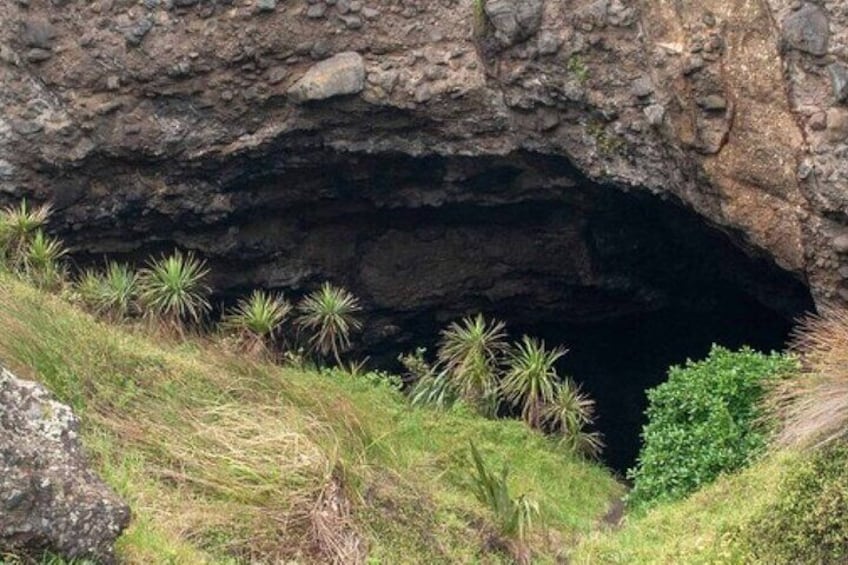 Auckland Natural Caves and Tunnels Private Tour