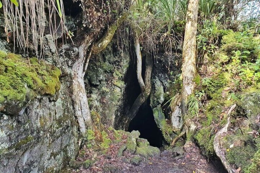 Auckland Natural Caves and Tunnels Private Tour