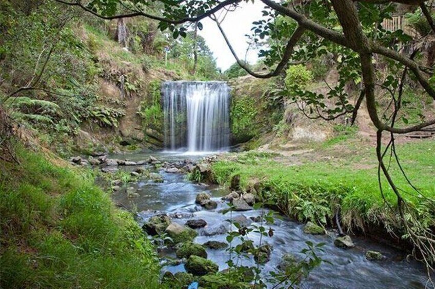 Private Guided Auckland Waterfalls Tour