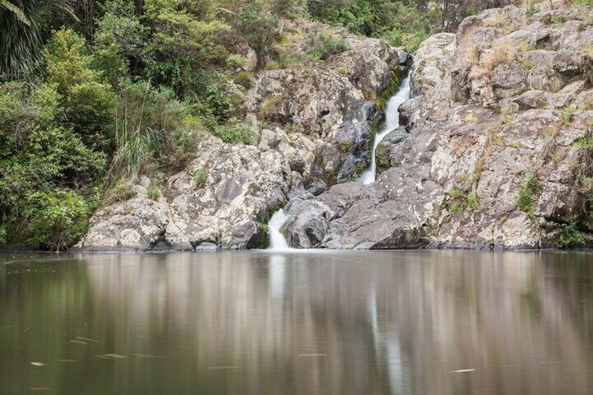 Private Guided Auckland Waterfalls Tour