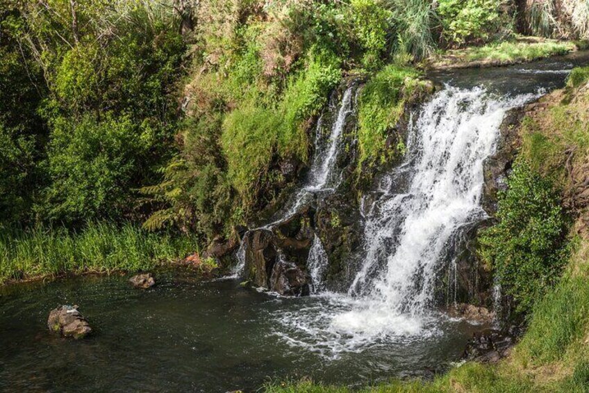 Private Guided Auckland Waterfalls Tour