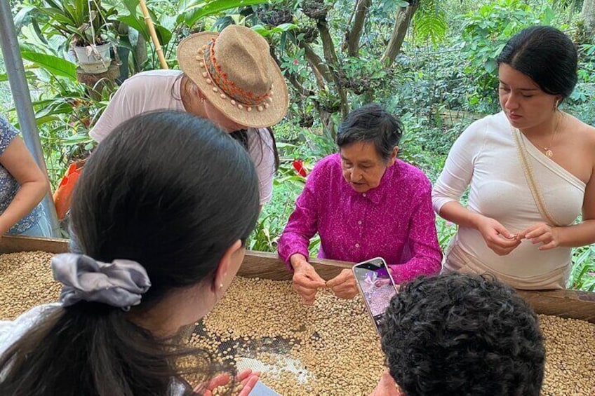 Coffee Tour from Coffee Growers to Your Cup