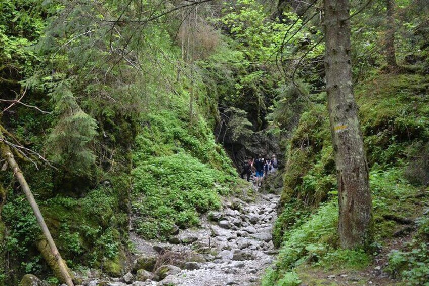 Hiking in the Kościeliska Valley