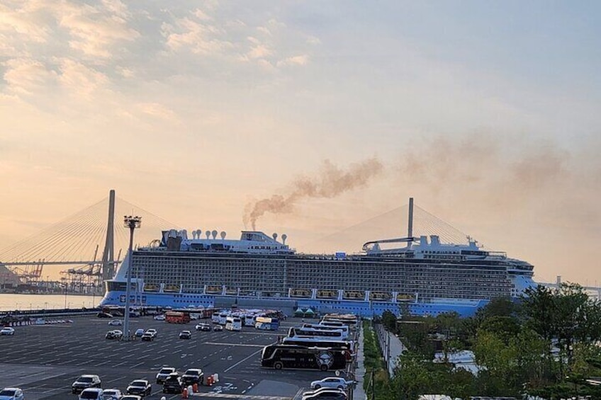 [small group] Busan tour for cruise ship passengers