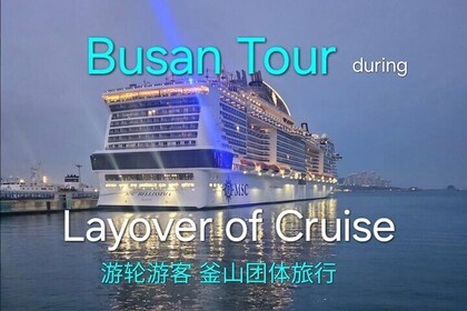 [small group] Busan Tour for Cruise ship passengers
