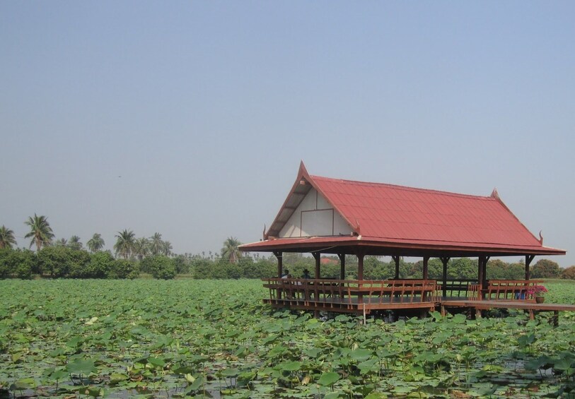 Woodland Muangmai & Klong Mahasawat Local Life