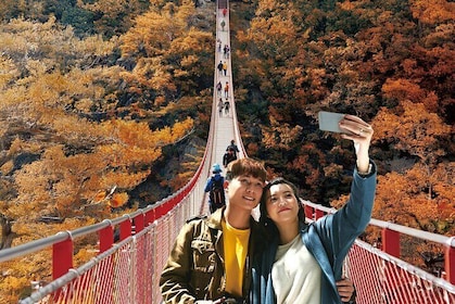 Recorrido por la DMZ desde Seúl: Tercer Túnel, Vista de Corea del Norte, Pu...