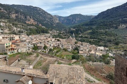 Private Shore Excursion with Local Guide in Mallorca