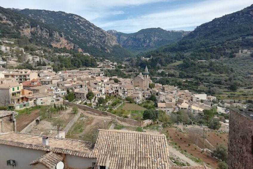 Private Shore Excursion with Local Guide in Mallorca 