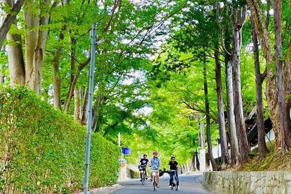 Pedal through Kyoto's iconic landmarks on an e-bike tour