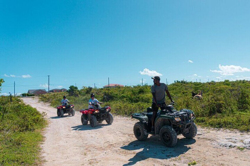Shared ATV Tour in Grand Turk