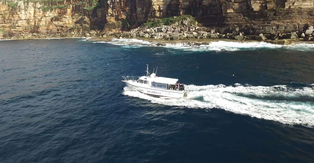 Picture 1 for Activity Sydney: Manly or Rose Bay Half-Day Double Boat Dive