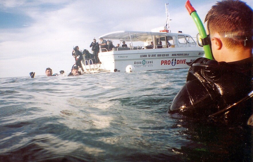 Picture 2 for Activity Sydney: Manly or Rose Bay Half-Day Double Boat Dive